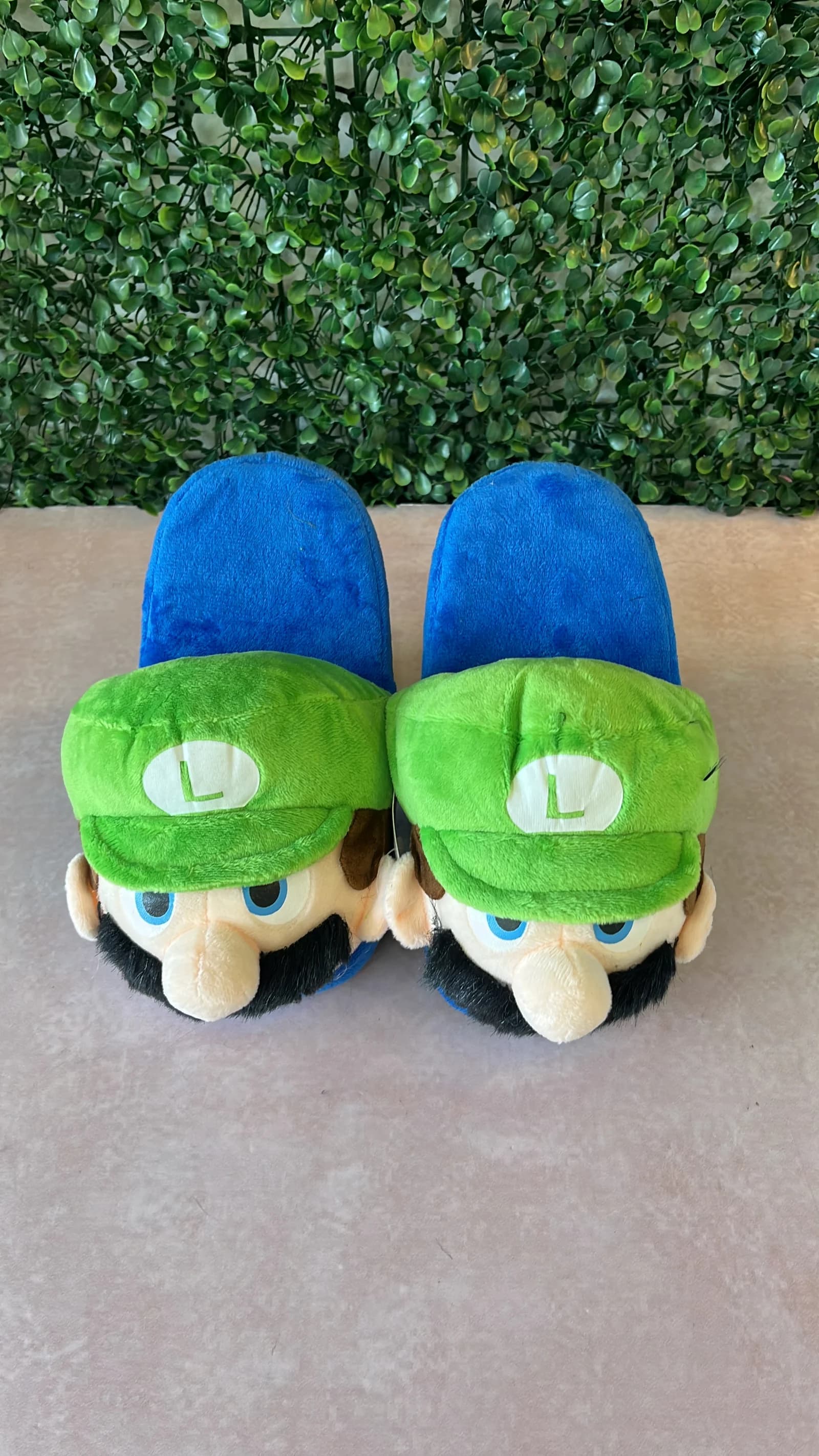 Pantuflas De Luigui